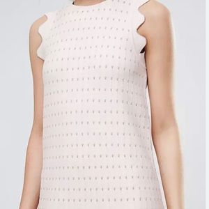 Ted Baker knit shift dress